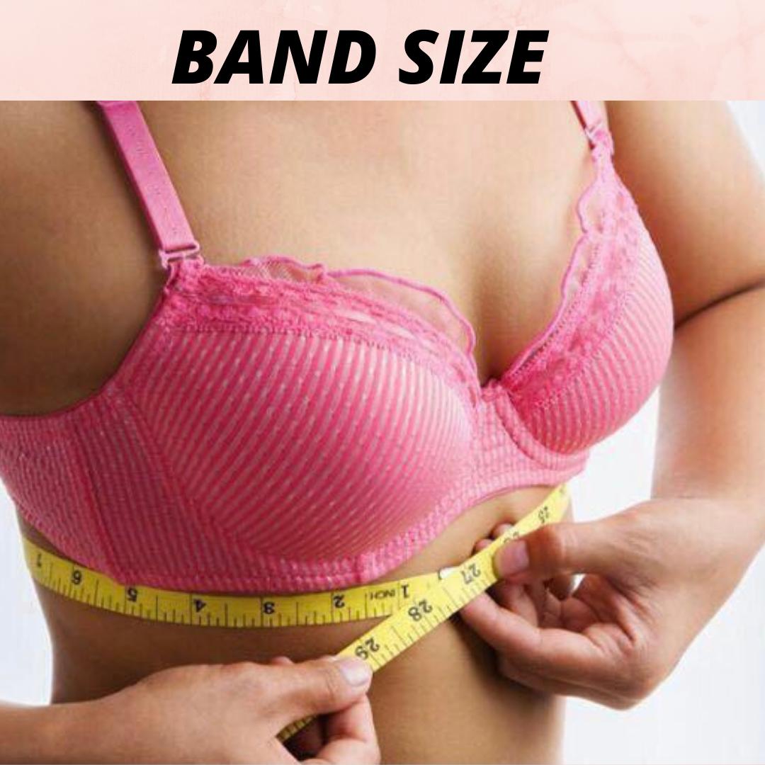 Mesh Curvy Lightly Padded T-Shirt Bra -BLACK